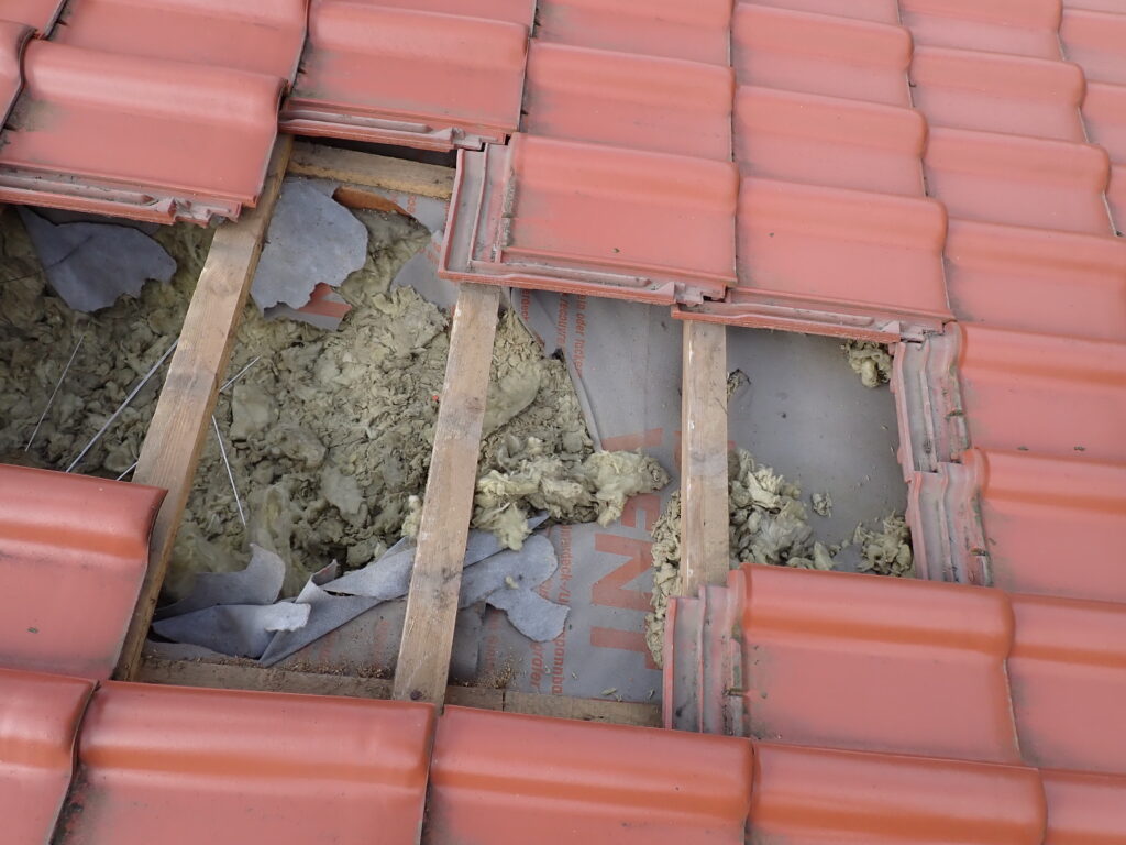 Uszkodzona membrana dachowa i zniszczona wełna mineralna po działalności kuny na poddaszu budynku jednorodzinnego.